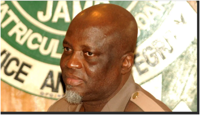 JAMB digital exam malpractice