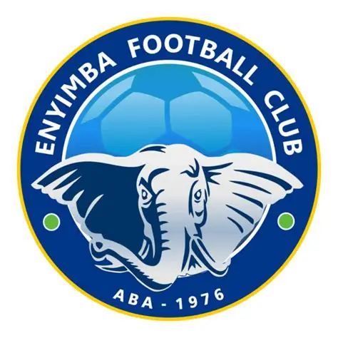 Enyimba Appoints Deutsch Detchoua as New Head Coach