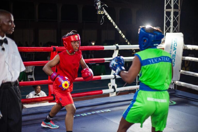 Nigeria Boxing Federation African Boxing League