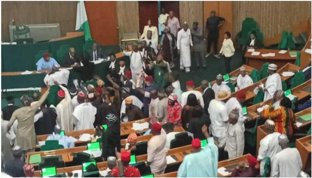 House rowdy session over Electoral Act rescission