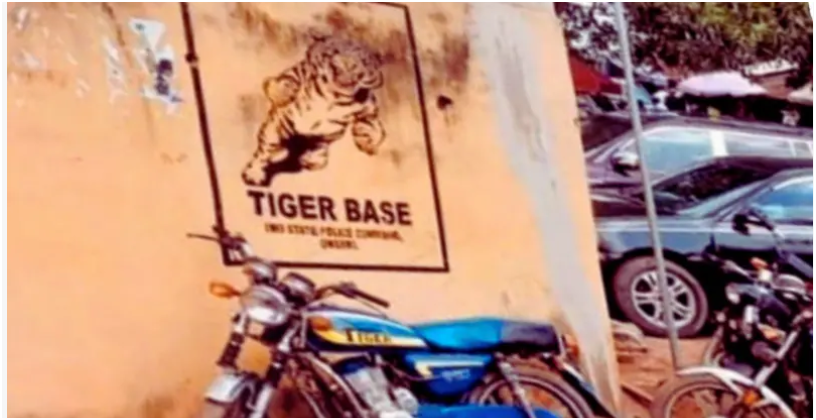 Amnesty Tiger Base report