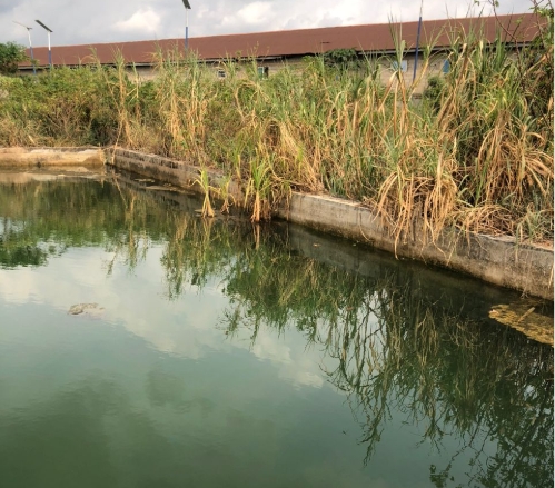 Imo State sports development