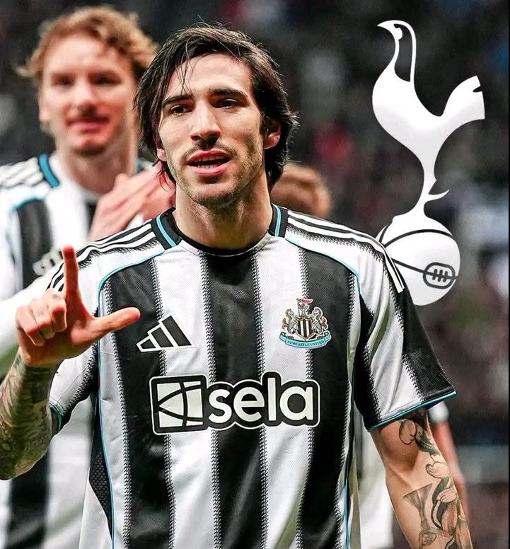 Sandro Tonali Tottenham